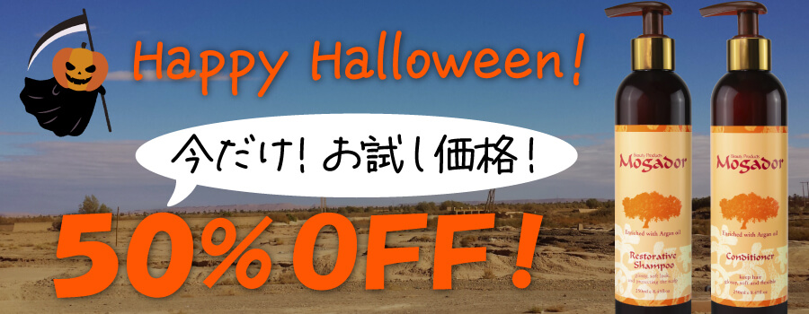 期間限定 お試し価格 Mogador SCセット