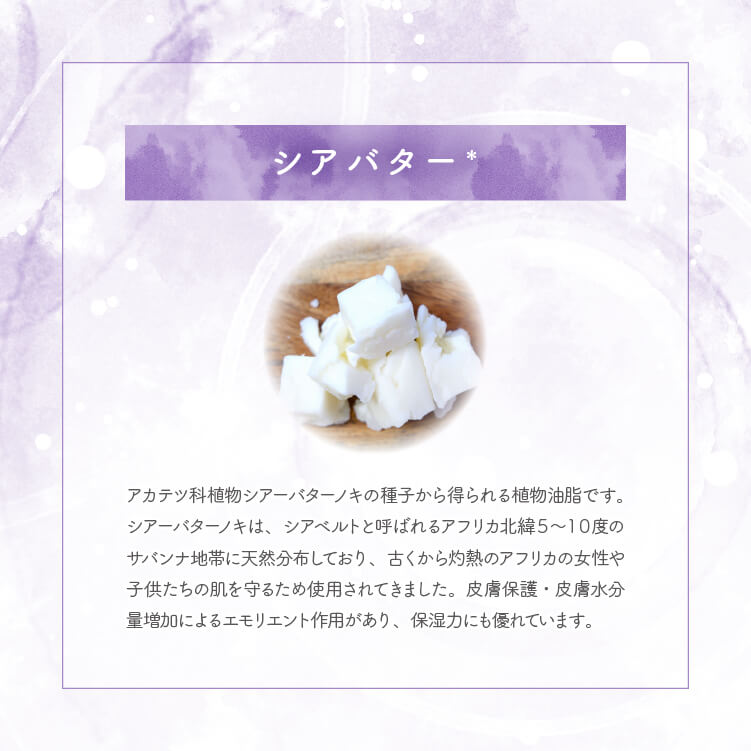 シアバター：アカテツ科植物シアーバターノキの種子から得られる植物油脂