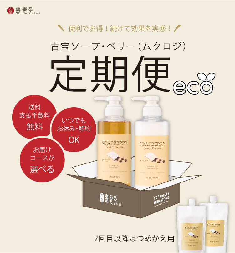 便利でお得！続けて効果を実感！古宝ソープ・ベリー（ムクロジ）定期便eco