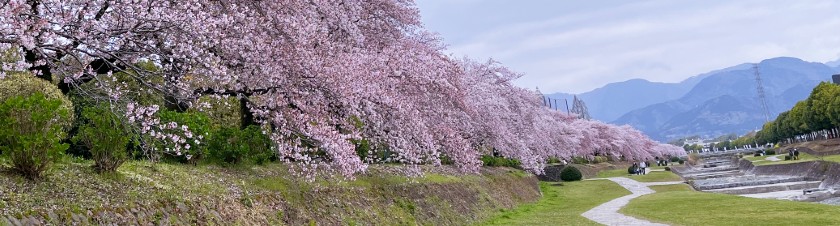 秦野の自然の恵みを活かし、地域社会にも貢献する