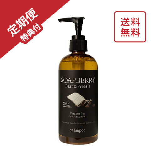 SOAPBERRY Pear & Freesia Paraben free Non-alcoholic shampoo 古宝無患子シャンプー定期便