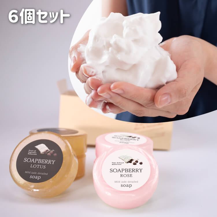 SOAPBERRY soap set of 6 古宝無患子選べる石鹸6個セット